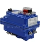 Электропривод четвертьоборотный DN.ru QT-N-003EM-O1-220VAC-У1 blue 220В Краснодар