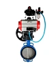 Затвор дисковый поворотный DN.ru WBV1413E-2W-Fb-H Ду250 Ру16, корпус - чугун GGG50, диск - чугун GGG40, EPDM, с пневмоприводом PA-DA-140, пневмораспределителем 4М310-08 24В NAMUR, БКВ APL-410N EX, ручным дублером MON4-1200-T54-ISO, БПВ AFC2000 Краснодар