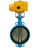 Затвор дисковый поворотный DN.ru WBV1413E-2W-Fb-H Ду200 Ру16, корпус - чугун GGG50, диск - чугун GGG40, уплотнение - EPDM, с электроприводом DN.ru QT-N-030EM-A1-220VAC-У1 220В (4-20мА) HARK Краснодар